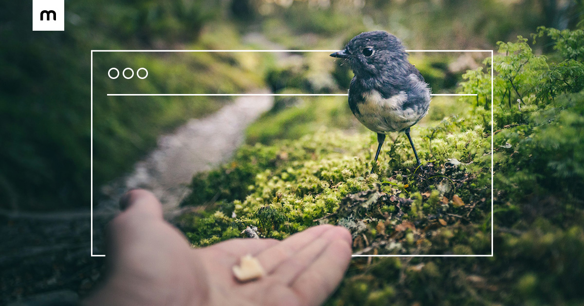 How to create an online store that builds trust—10 essential strategies for small businesses