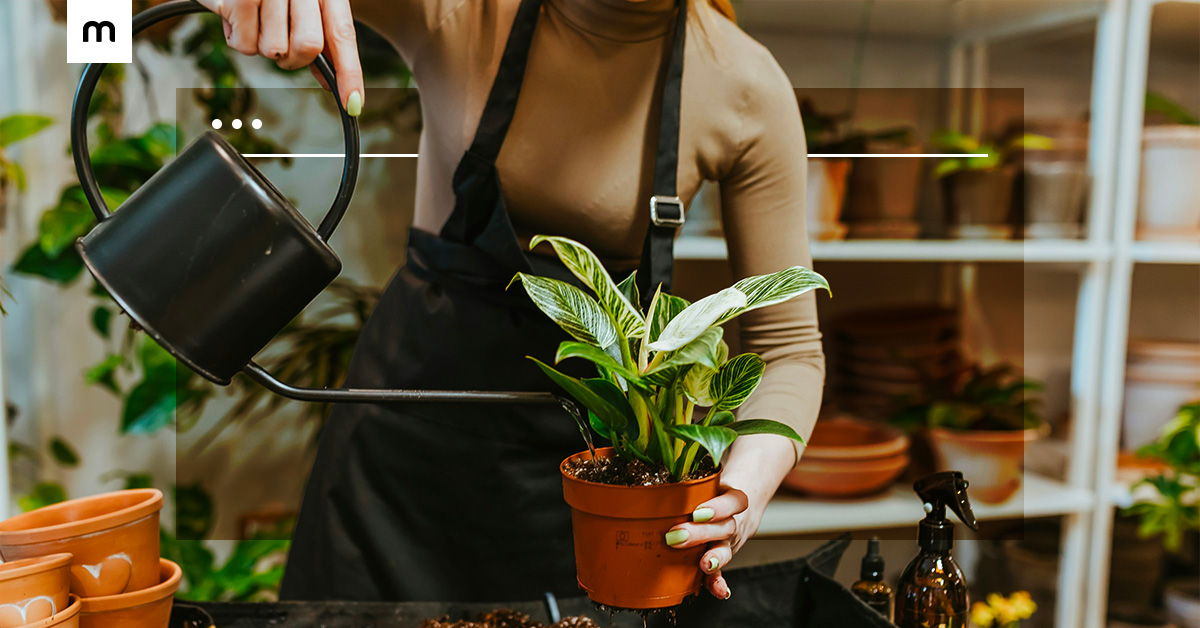 How to grow your business: 10 things to avoid for long-term success