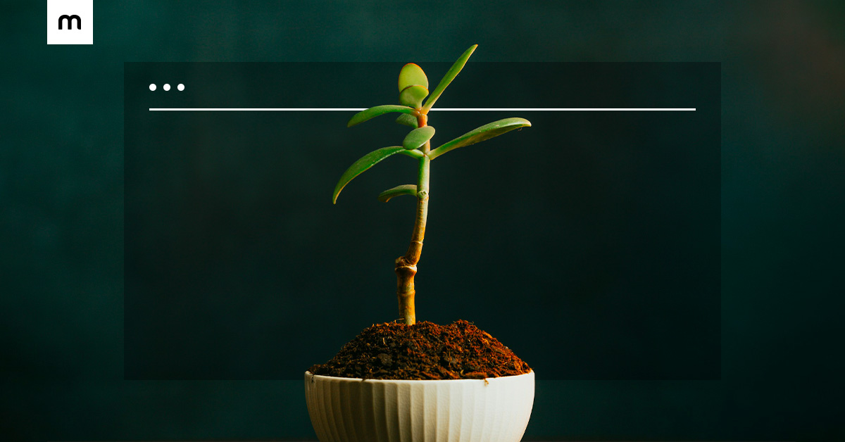 Why starting a business and developing small business ideas has never been easier