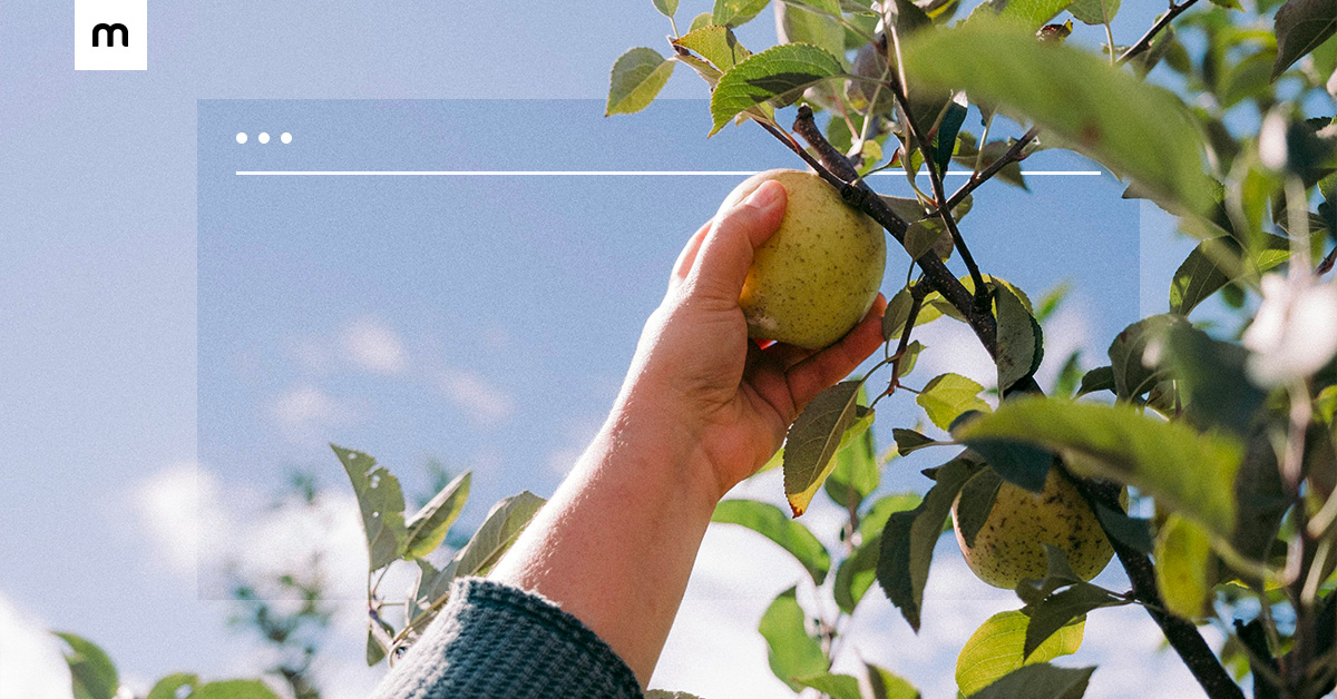 When small business owners should choose a website builder