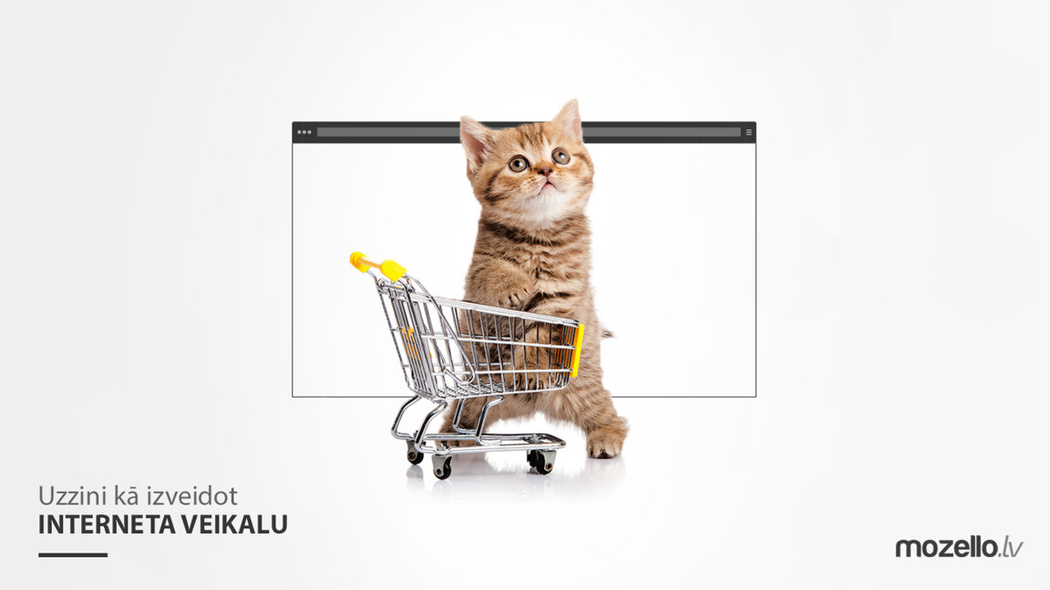 Kā izveidot pašam savu interneta veikalu?
