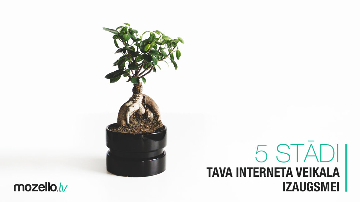 5 ieteikumi Tava interneta veikala izaugsmes veicinā&scaron;anai