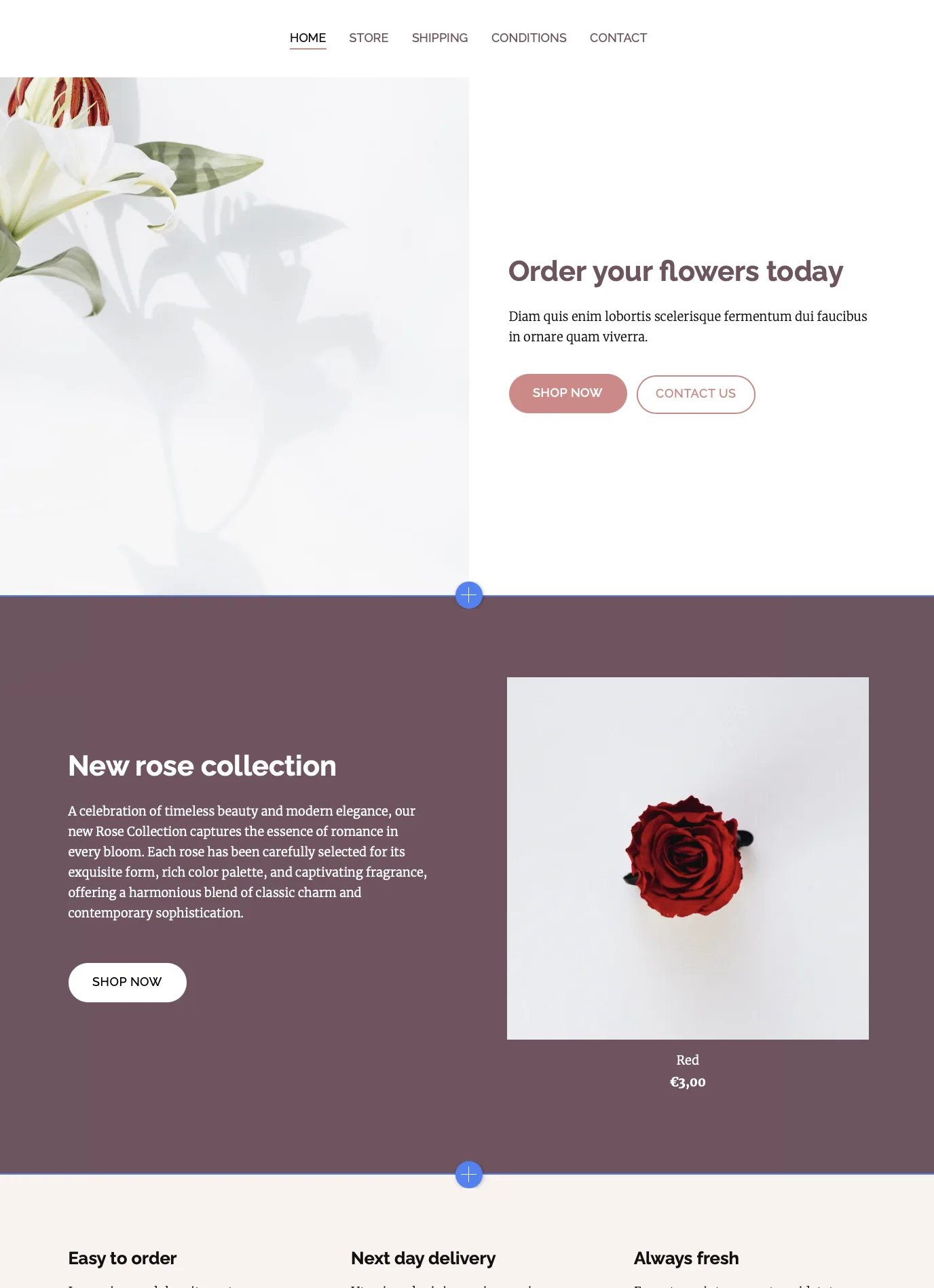 Example of a website with an asymmetrical layout.